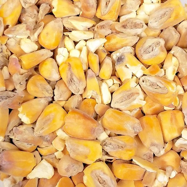 Riverbend Cumberland #1 Yellow Dent Corn Malt