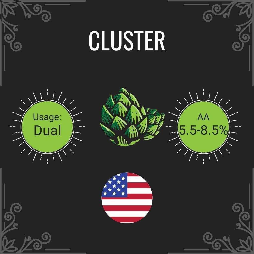 Cluster branding with green hop icon, usage label, AA percentage, and American flag on a black background.
