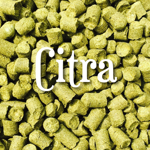 Citra® (1oz)