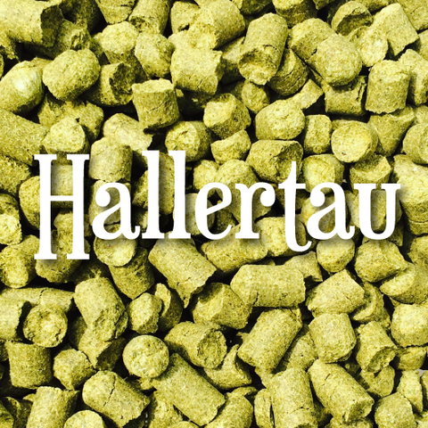 Hallertau Mittelfruh 1oz