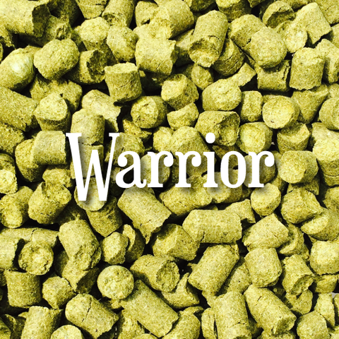 Warrior® (1oz)