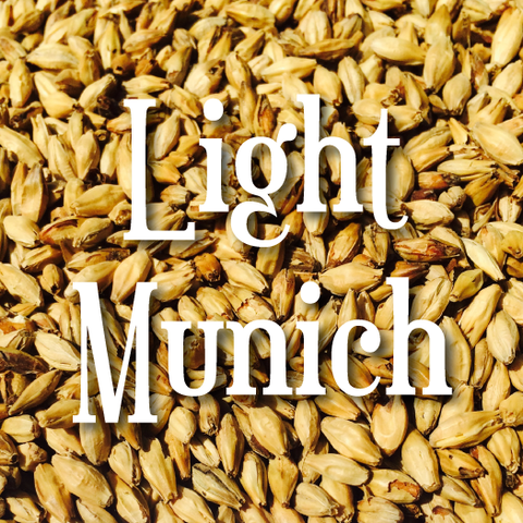 Light Munich 8L