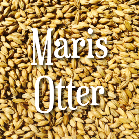 Maris Otter