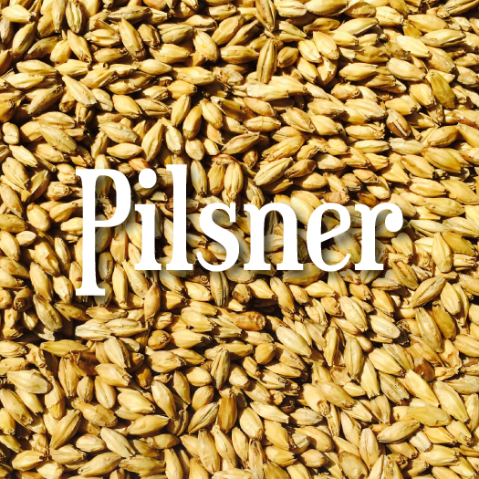 Riverbend Chesapeake Pilsner Malt