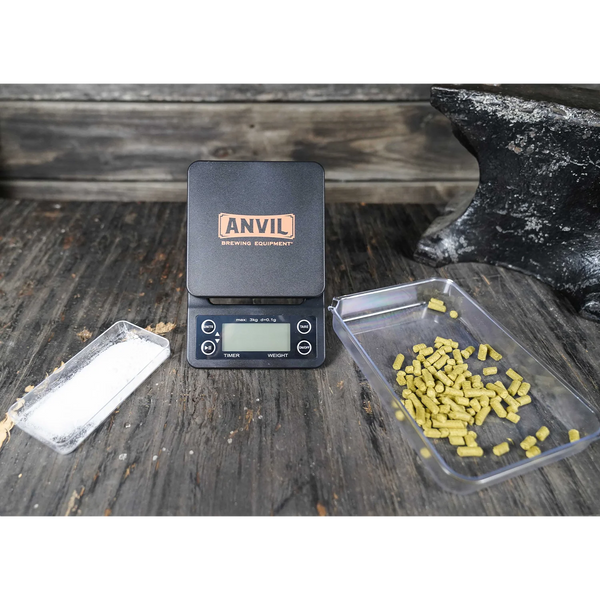 Anvil High Precision Scale