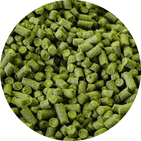 Crystal - BrewSRQ