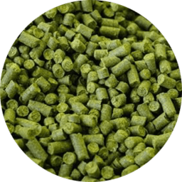 Mandarina Bavaria - BrewSRQ