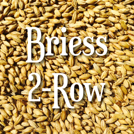 Briess 2-Row Brewers Malt