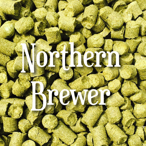Northern Brewer (1oz)