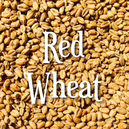 Swaen Red Wheat
